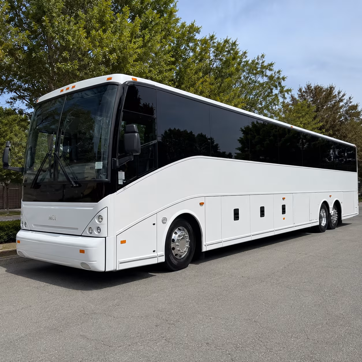 Gainesville School Event Transportation party bus exterior