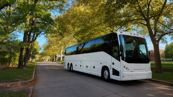 lakeland bachelor and bachelorette party bus rentals